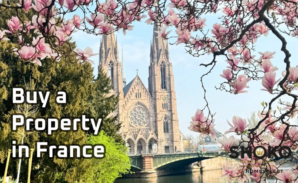 Half-timbered Petite France district in Strasbourg for international property buyers