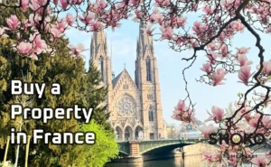 Half-timbered Petite France district in Strasbourg for international property buyers