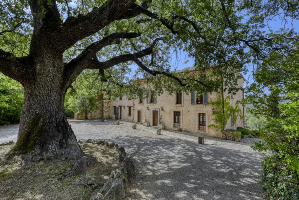 Imagine SHOKO is showing international buyers the courtyard of a stone mas in Provence with lavender fields beyond